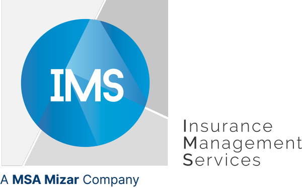 Logo IMS Partner